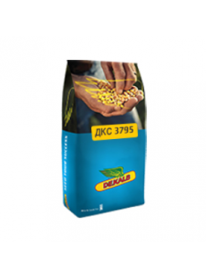 Семена кукурузы ДКС 3795 Max Yield