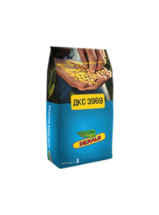 Семена кукурузы ДКС 3969 Max Yield