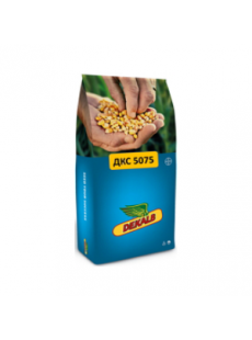 Семена кукурузы ДКС 5075 H&D
