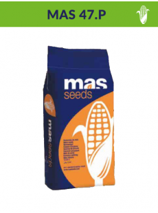 Насіння кукурудзи MAS 47.P